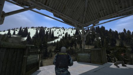 dayz