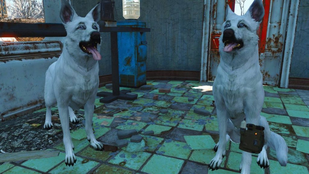 Fallout 4 PC Mod lässt euch das Spiel als Hund erleben ShootersZene