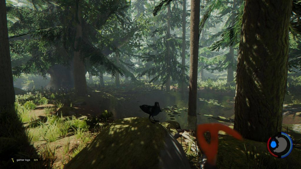 The Forest